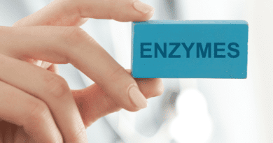 Définition enzyme et rôle des enzymes digestives, des enzymes pancréatiques, des enzymes hépatiques et des enzymes musculaires