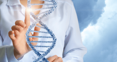 Qu'est-ce que l'ADN définition, fonctions, vieillissement