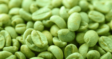 Capsule de café vert pour maigrir efficace pour maigrir vite