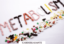 Comprendre le métabolisme et améliorer le métabolisme de base : Guide complet pour optimiser votre santé et votre bien-être.