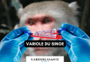 un test avec en fond de l'image un singe qui symbolise La variole du singe sa Transmission, ses symptômes et son traitement