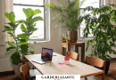 Un BUREAU DÉCORÉ DES 10 plantes dépolluantes pour un intérieur sain