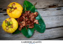 Qu'est-ce que le Garcinia cambogia Bienfaits et recettes !