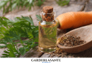 huile essentielle de carotte sauvage