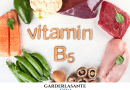 Qu’est-ce que la Vitamine B5 son rôle, ses bienfaits et les besoins