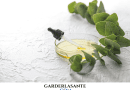 Huile essentielle d'Eucalyptus radiata Le Guide
