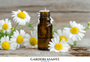 bienfaits de huile essentielle de camomille noble