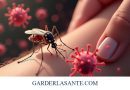 Comprendre le Chikungunya : Transmission, Symptômes et Phases de la Maladie