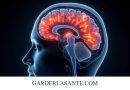Inflammation Cérébrale : Le Rôle Clé dans la Dégradation Cognitive