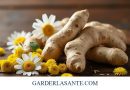 Combinaisons Efficaces : Ashwagandha avec d’Autres Plantes pour le Stress et le Sommeil