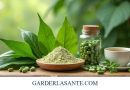 Comment Consommer le Moringa ? Formes et Dosages Recommandés